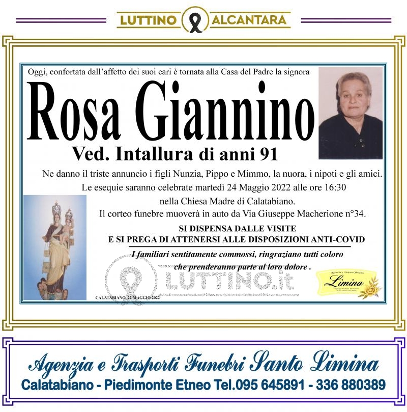 Rosa  Giannino 